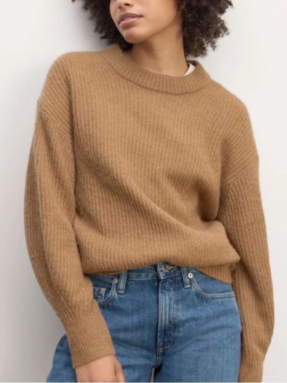 Everlane Alpaca Wool Chunky Ribbed Knit Crewneck Sweater